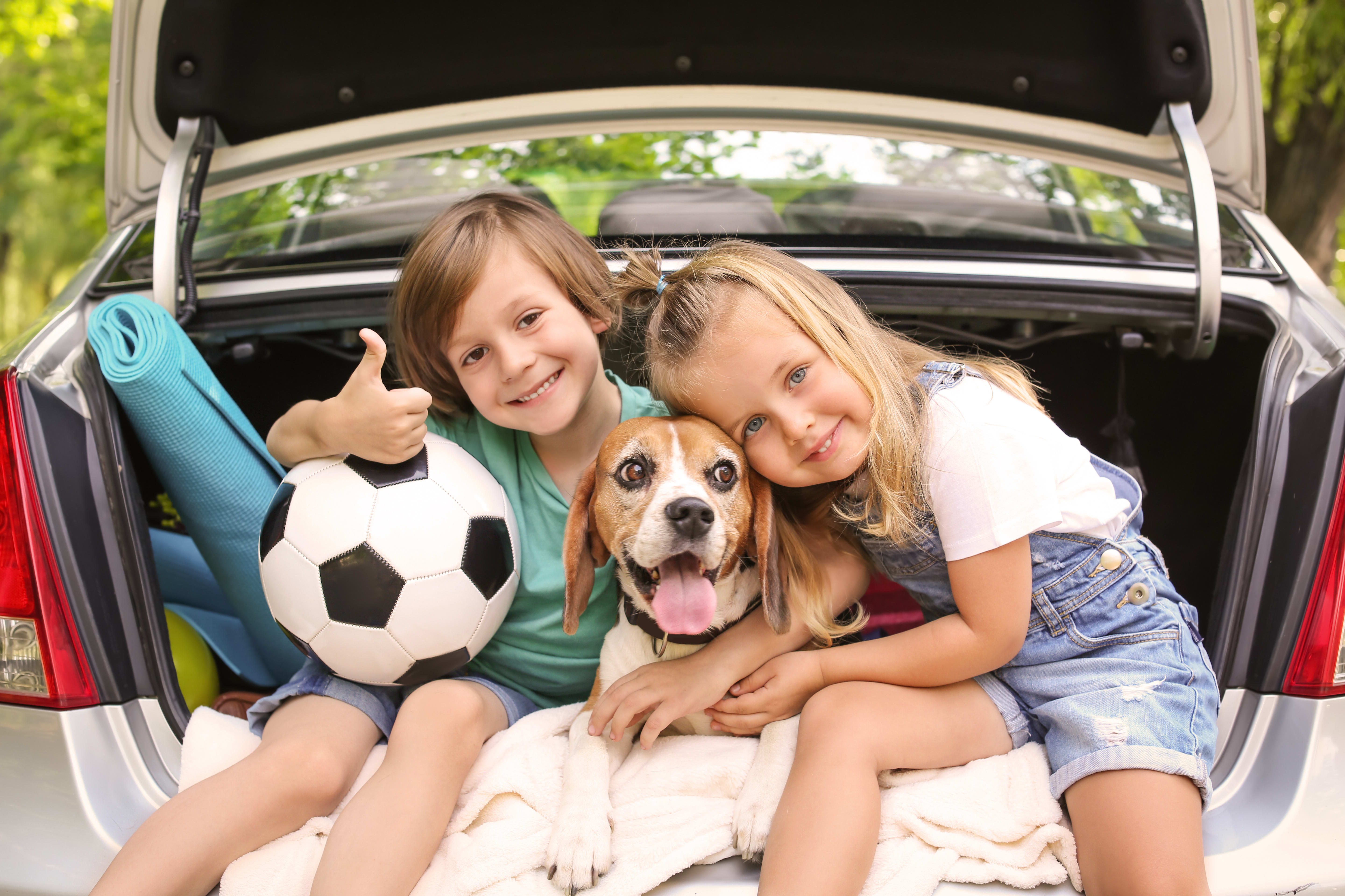 How to Choose a Dog for Your Family with Kids, Greensboro Vet